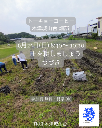 TKCF 畑部