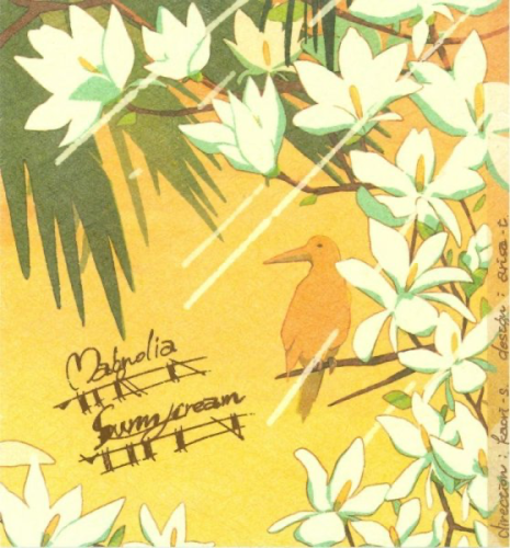 芋焼酎｢サニークリーム」ご予約受付開始しました！