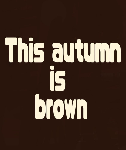 This autumn is brown