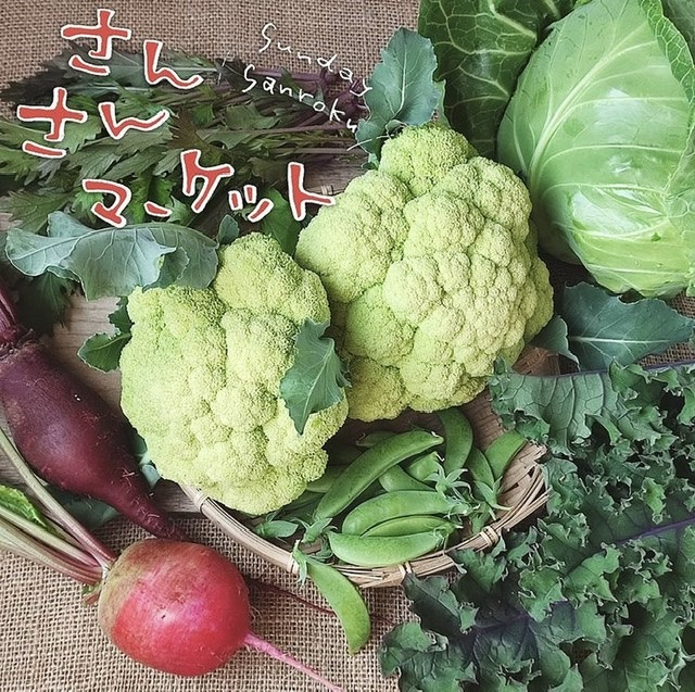 【11/27(土) 大宮店】野菜直売〜朝10時より