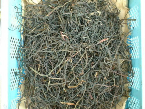 DSCF3379.JPG