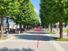 20250908_101121.jpg