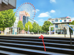 20250908_101607.jpg