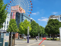 20250908_101158.jpg