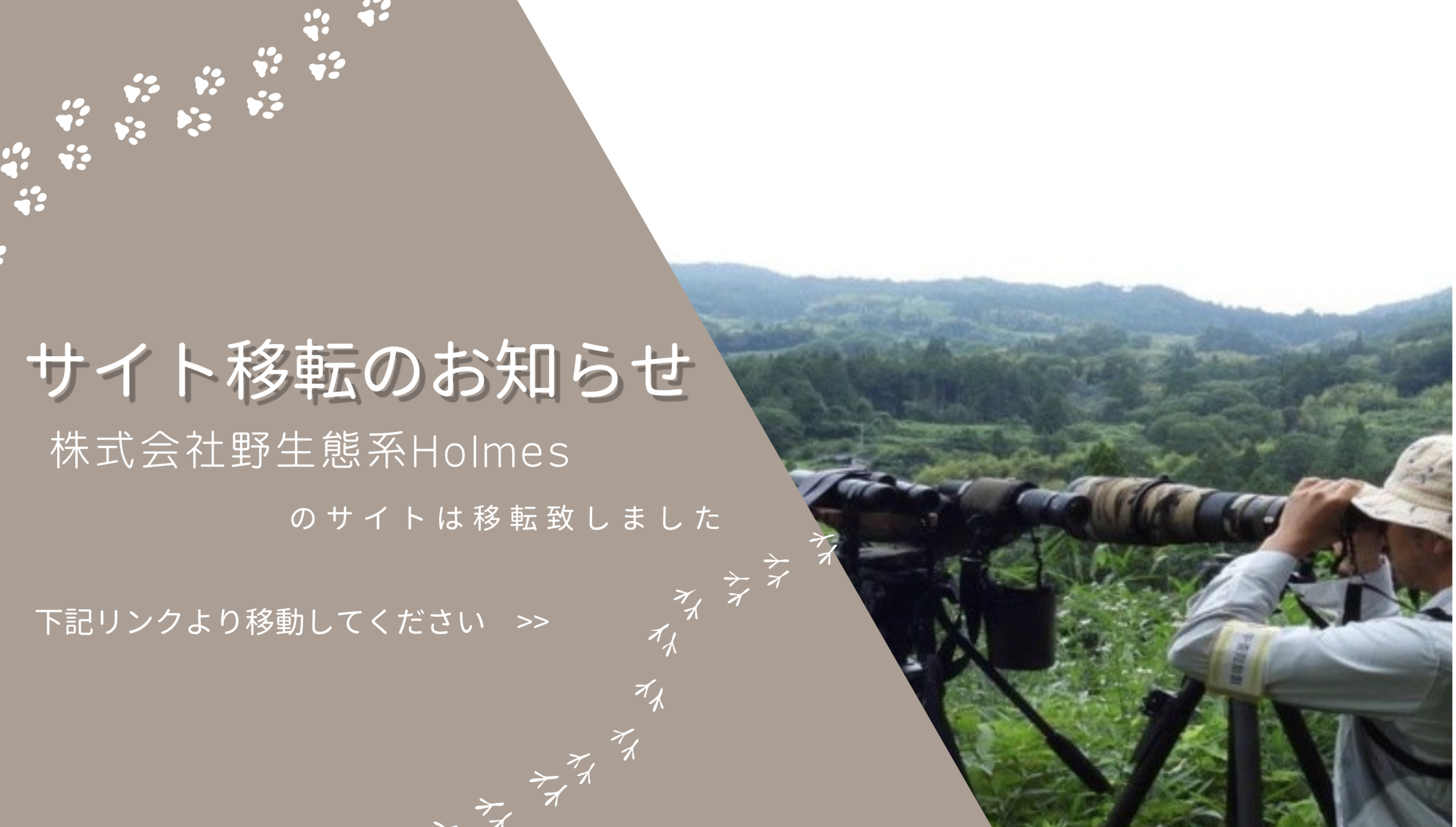 調査風景