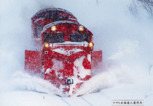 入選　ラッセル車　工藤順子.jpg