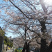 IMG_20210323_093902.jpg