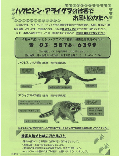 20240427162627_00003.jpg
