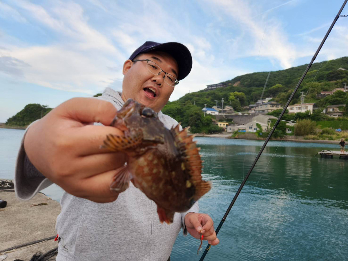 冬はカサゴがよく釣れます