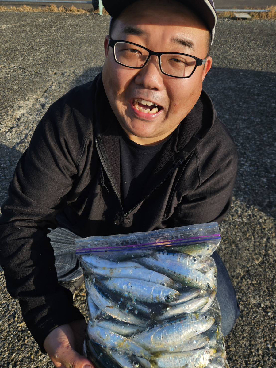 マイワシがたくさん釣れています