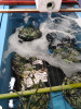 IMG00111_HDR.jpg