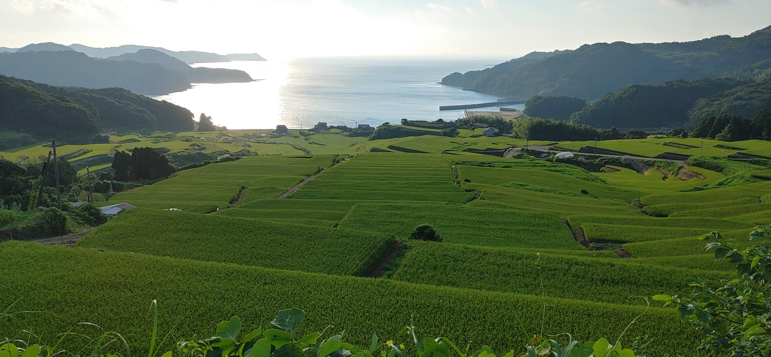 IMG00413_HDR.jpg