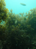 P9010139.JPG