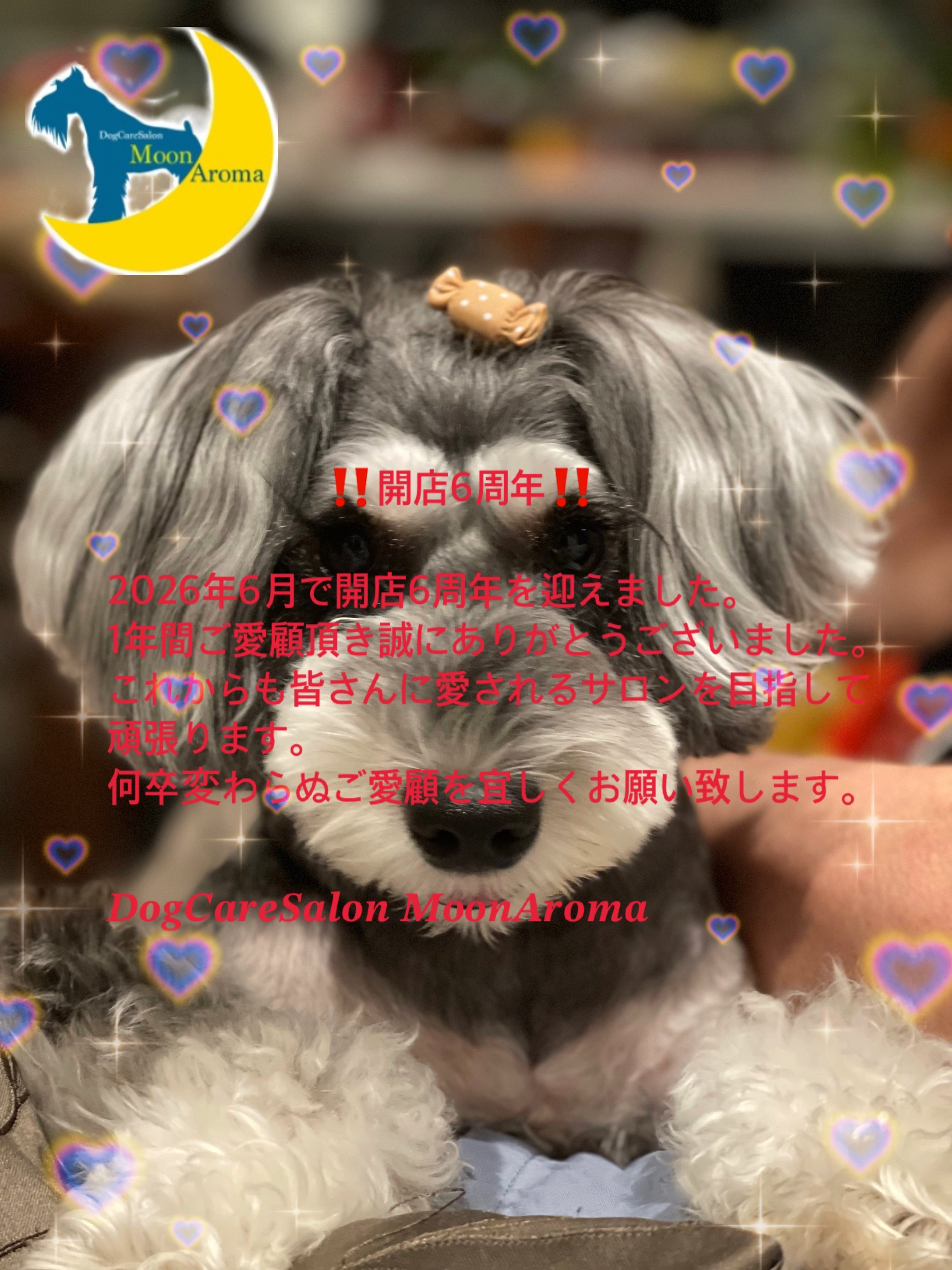 ‼️開店6周年‼️