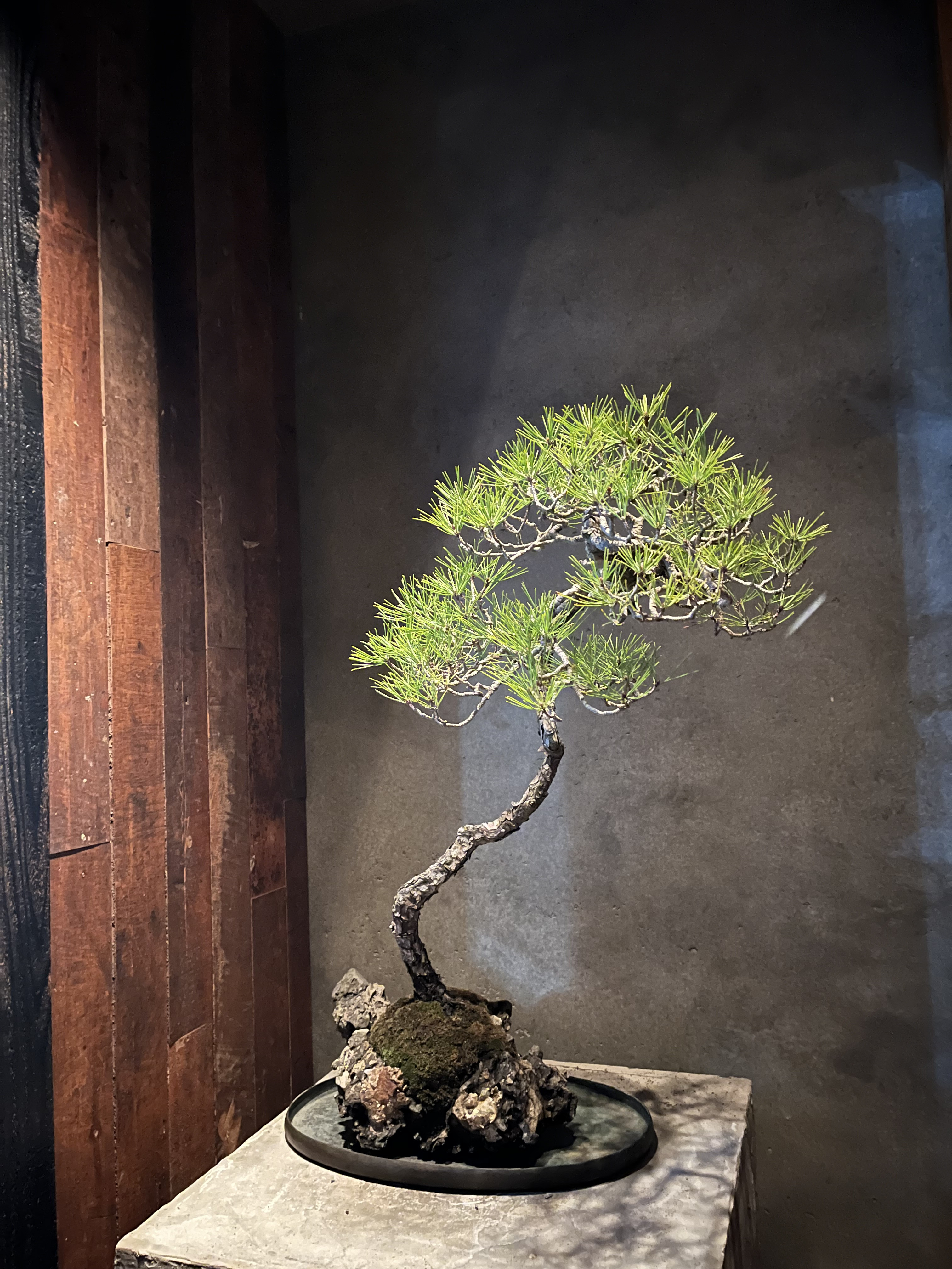 【臨時休業、営業のお知らせ】