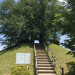 6E848406-00FC-49B9-9925-143DF98166D0.jpeg