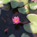 94E89875-870D-4274-8BAB-2838B50DBFF1.jpeg
