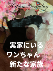 8351FAD2-EA1F-4C16-9D19-C0665455664A.png