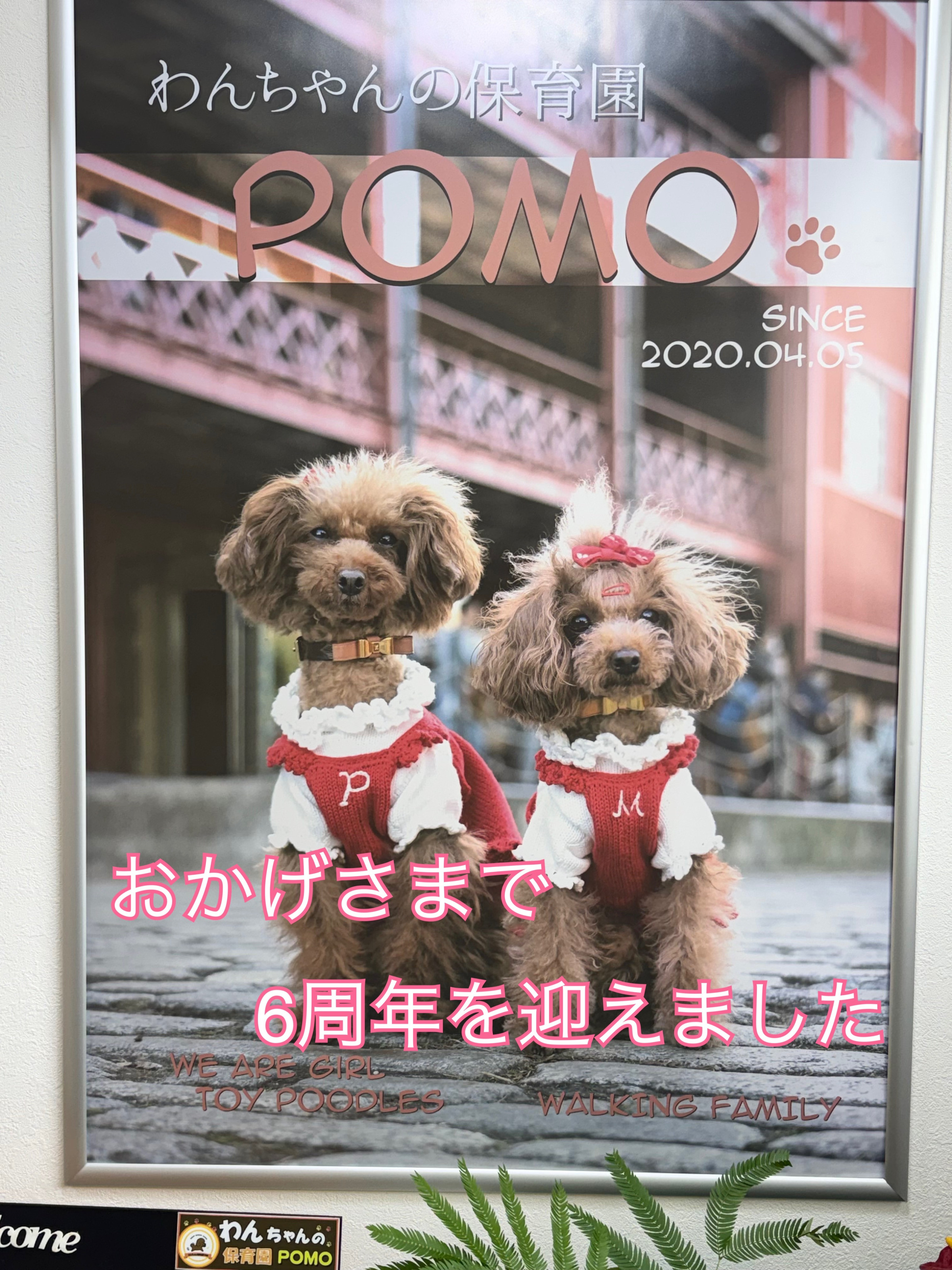 2026年　6周年を迎えました