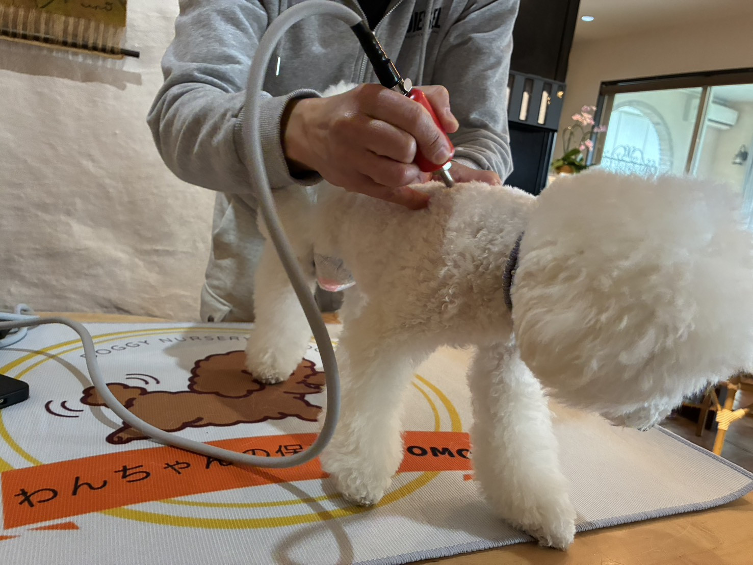 筋膜リリースやっています