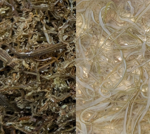 PXL_20251115_133819187 (002).jpg