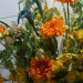 DSC00209.JPG