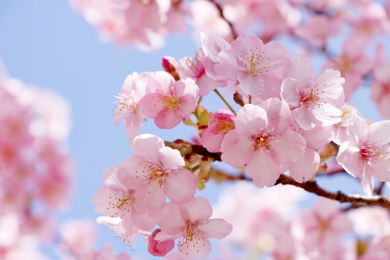 4月の空きについて