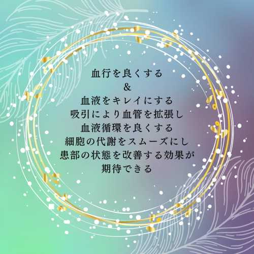 陰陽調整：東洋医学では人間の病気のもっとも根本的な原因は陰陽の失調だと考えられている。かっさは臓腑の効能を改善し、臓腑の陰陽バランスを整える作用がある。.zip - 7.png