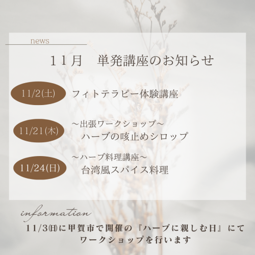 11月開催　単発講座のお知らせ