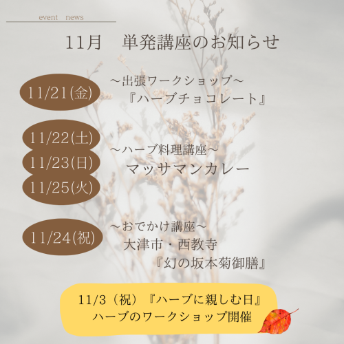11月開催　単発講座