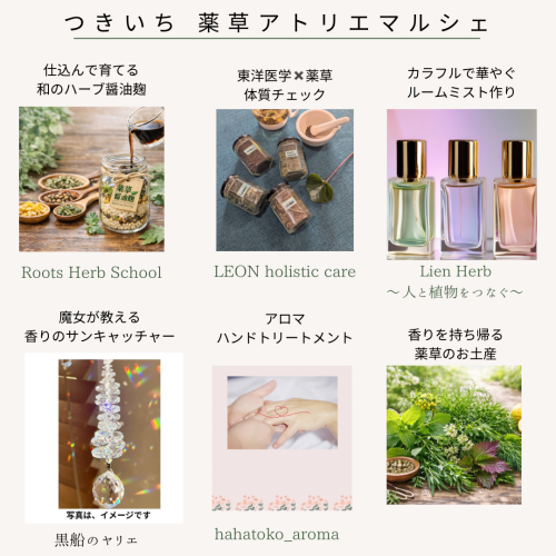 ホワイト　グリーン　植物　ハーブ　イベント　お知らせ　 Instagramの投稿のコピー - 2.png