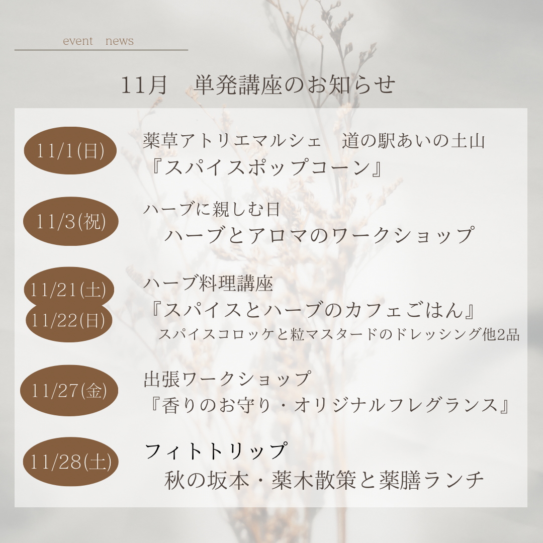 11月開催単発講座