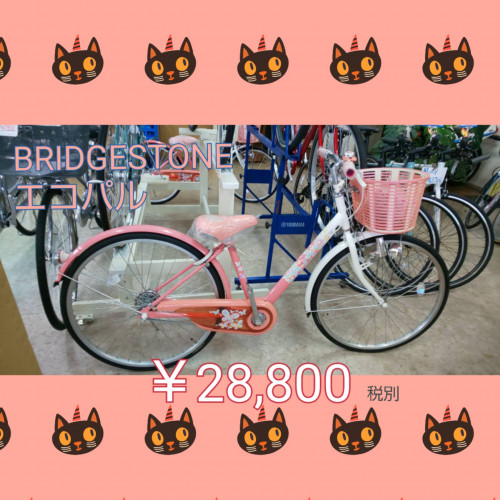 photocollage_20201017204931743.jpg