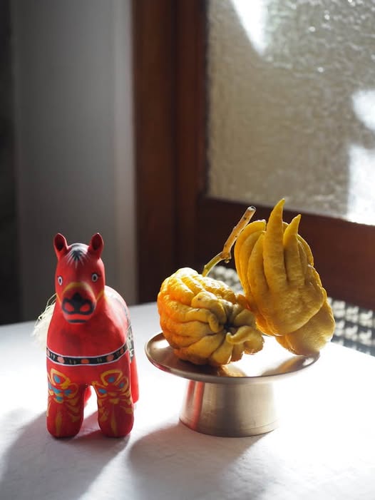 2025ありがとうございました。