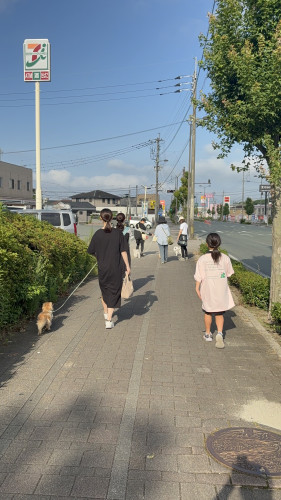 IMG_2467.jpeg