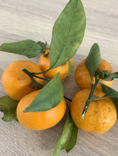 年末年始営業時間お知らせ