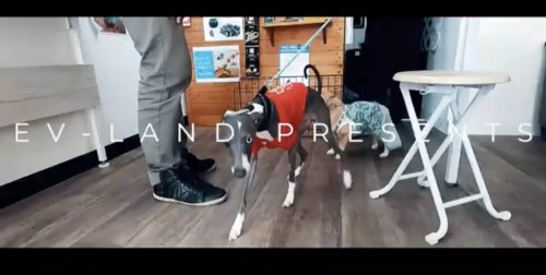 YouTube配信【17:31x EV Land】