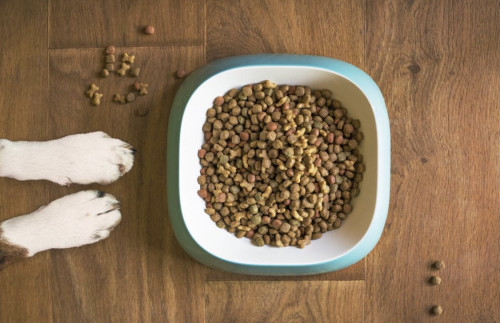 ワンごはん講座　開催！