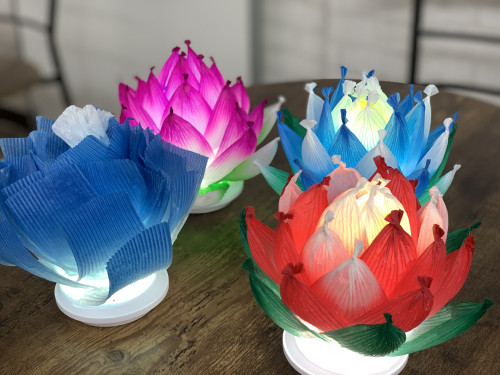 早くも次回ハスランプ開催決定！