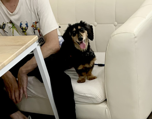 アニマルコミュニケーションご報告