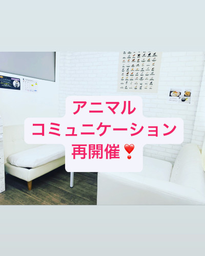 アニマルコミュニケーション再開催✨