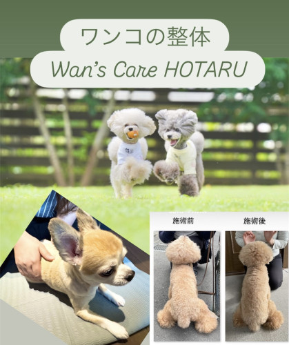 わんにゃんフェスタ〜家族の絆〜