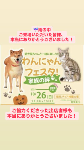 わんにゃんイベント無事開催！