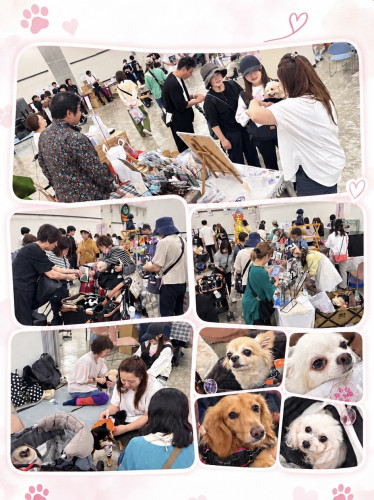 わんにゃんスマイルフェス2026・秋 出店報告
