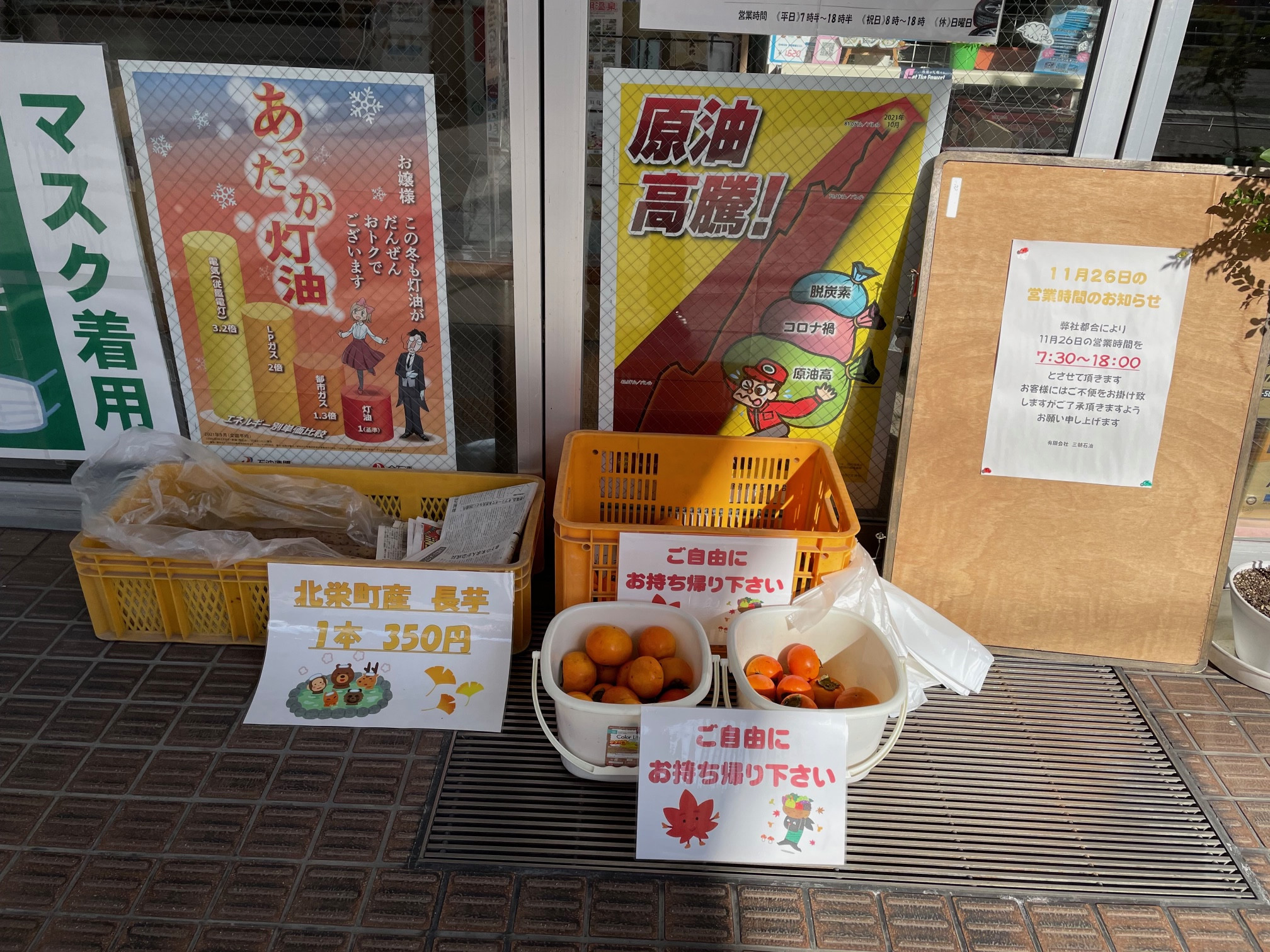 【北栄町産長芋を販売中です＆柿ご自由にお持ち帰り頂けます】