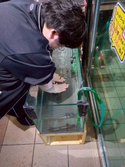 LINE_ALBUM_202658春の遠足_260812_1.jpg