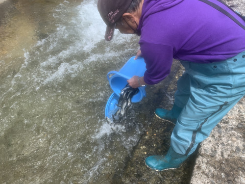 4/25追加放流情報