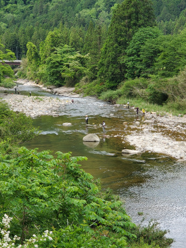 振草川　釣況