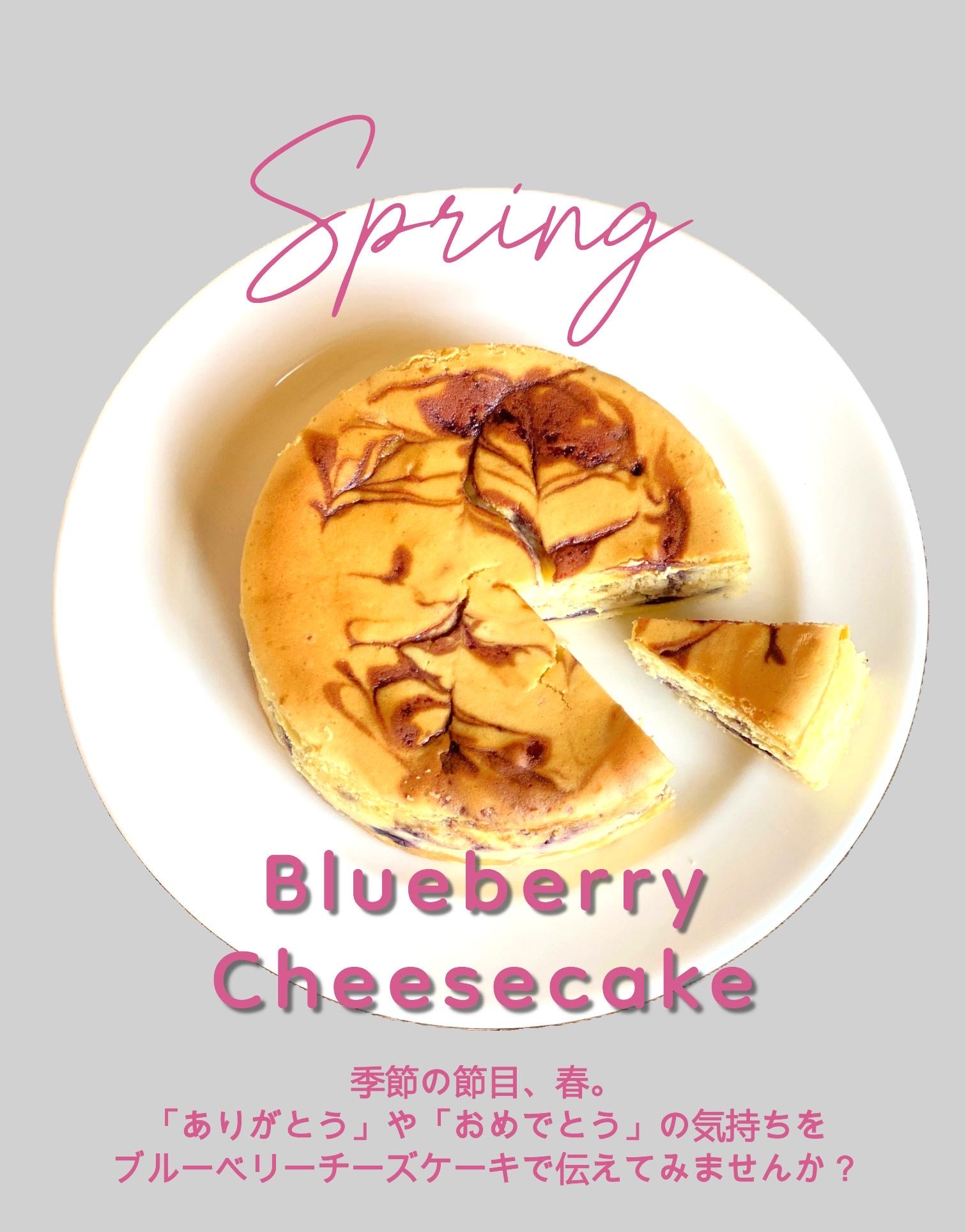 【ギフト】ブルーベリーチーズケーキご予約受付中♪