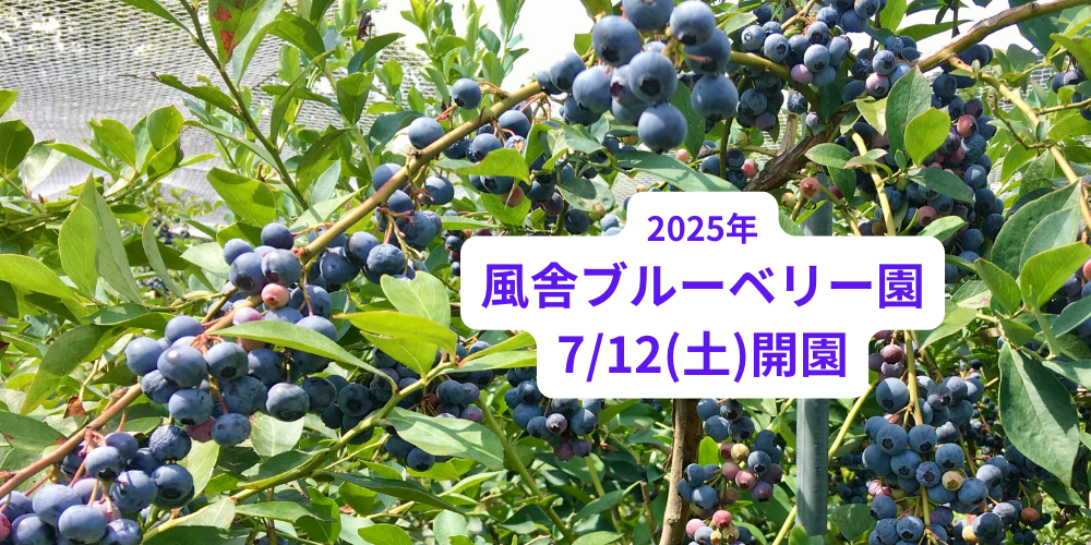 詳しくは詳細へ